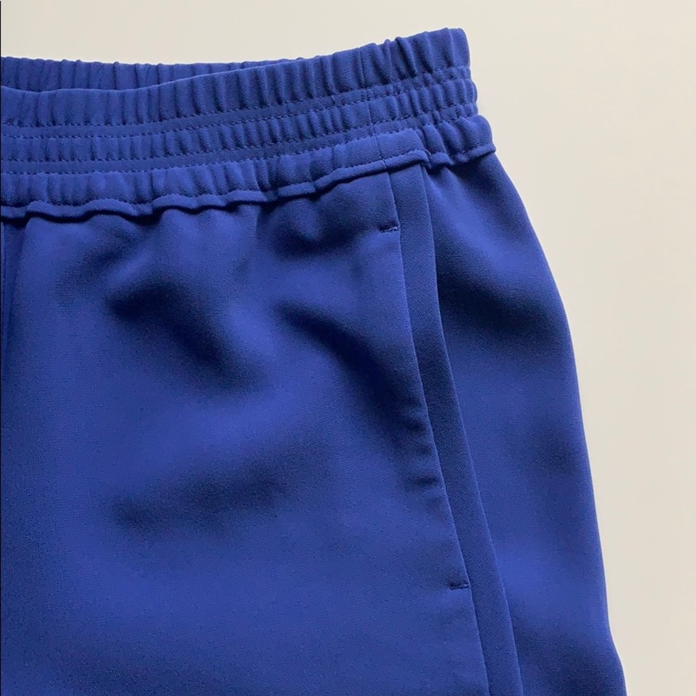 J.Crew Blue Polyester Shorts